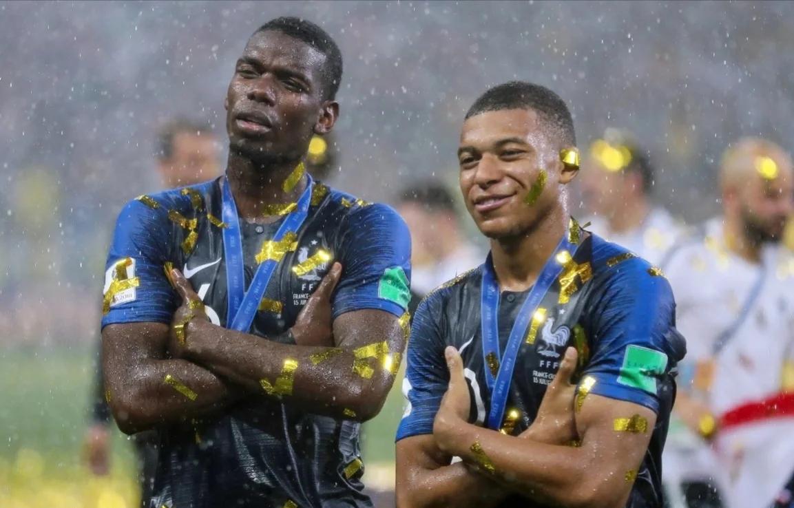 世界杯前大屠杀！ 300万只流浪狗 传摩洛哥虐杀！